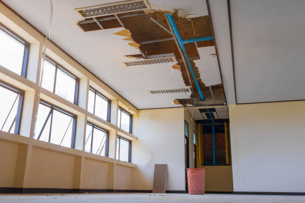 Best 24/7 water damage repair  in Grandview, MO