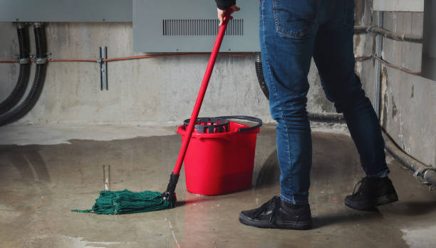 Best Water damage restoration near me  in Grandview, MO