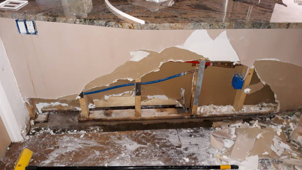 Best Flood restoration services  in Grandview, MO