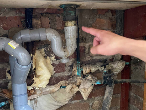 Best Fire Damage Restoration  in Grandview, MO